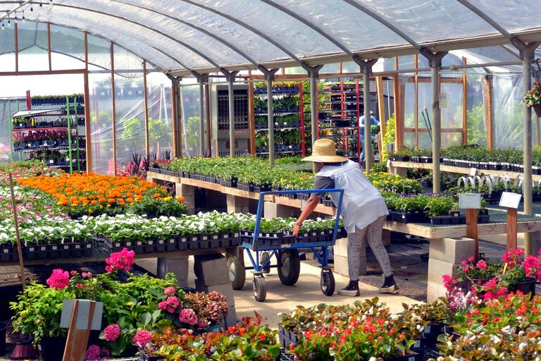 Tipy na udržanie zdravého a krásneho domáceho kvetinového záhona počas ročných období